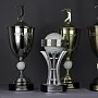 Награда "КОЛДИ"